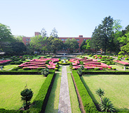 国立大学法人 宇都宮大学様 フランス式庭園の写真