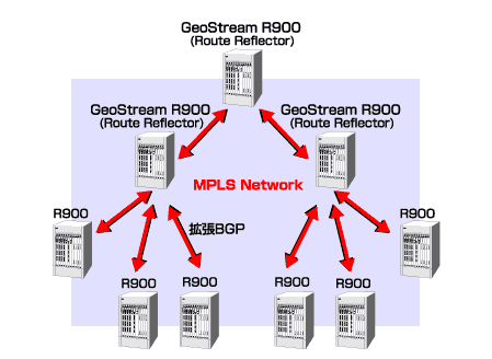 大規模MPLS-VPNの実現2